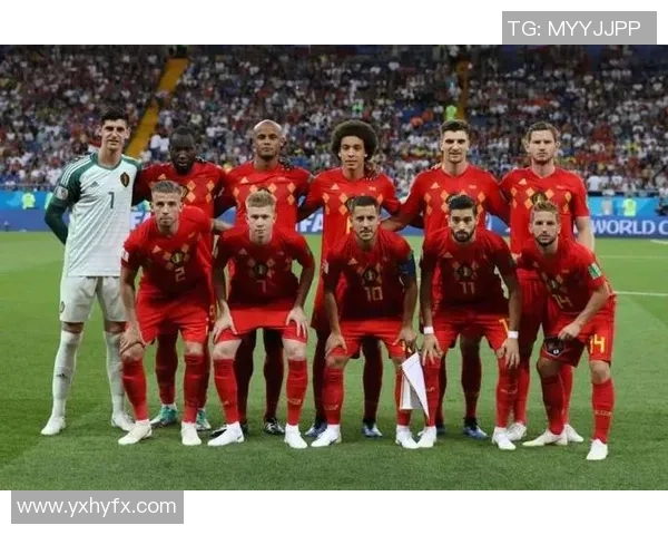 比利时对阵日本的比赛分析与推荐策略详解